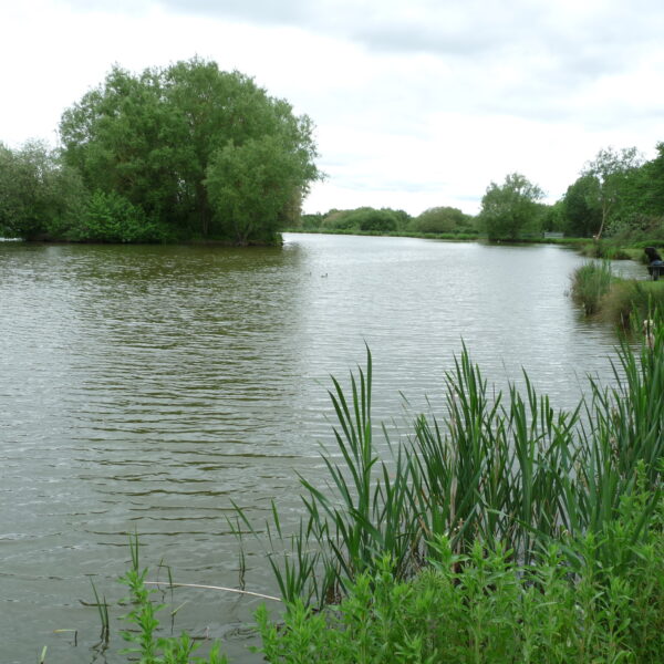 Hopsford Hall Fishery north of Coventry