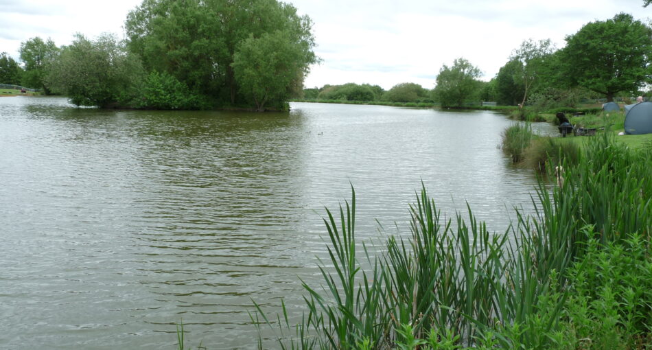 Hopsford Hall Fishery north of Coventry