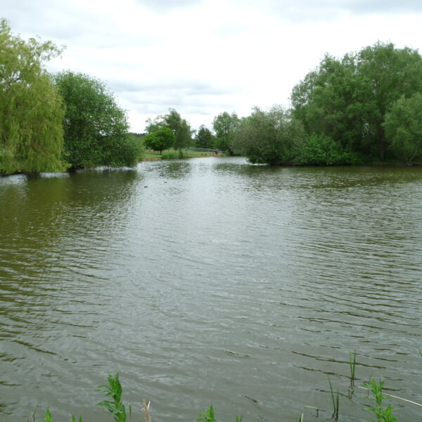 Hopsford Hall Fishery