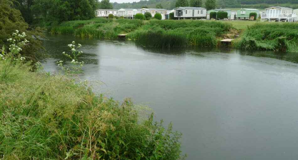 Anchor Meadow