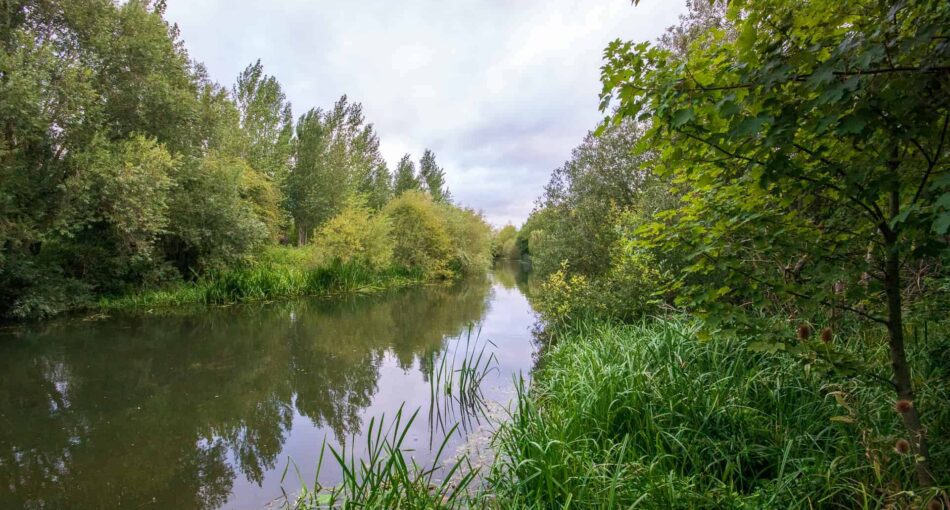 Bluebell Lakes - River Nene