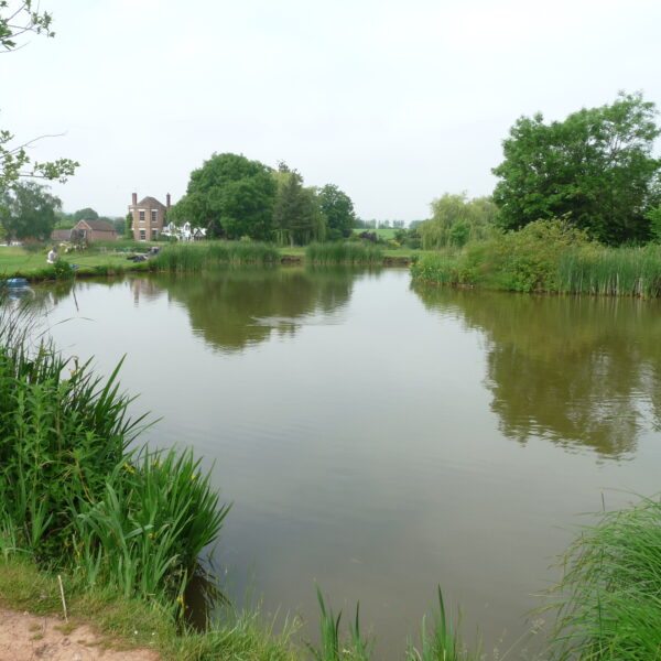 Stone End Farm Fishery