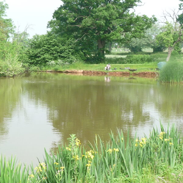 Stone End Farm Fishery