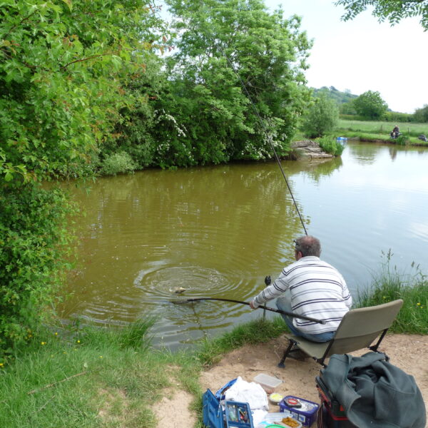 Stone End Farm Fishery