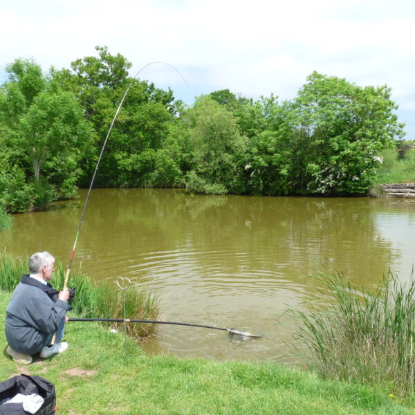 Stone End Farm Fishery in Gloucestershire