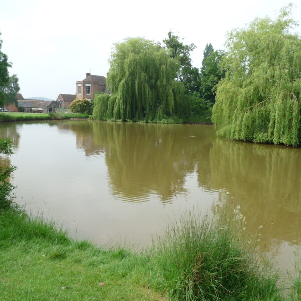 Stone End Farm Fishery in Gloucestershire