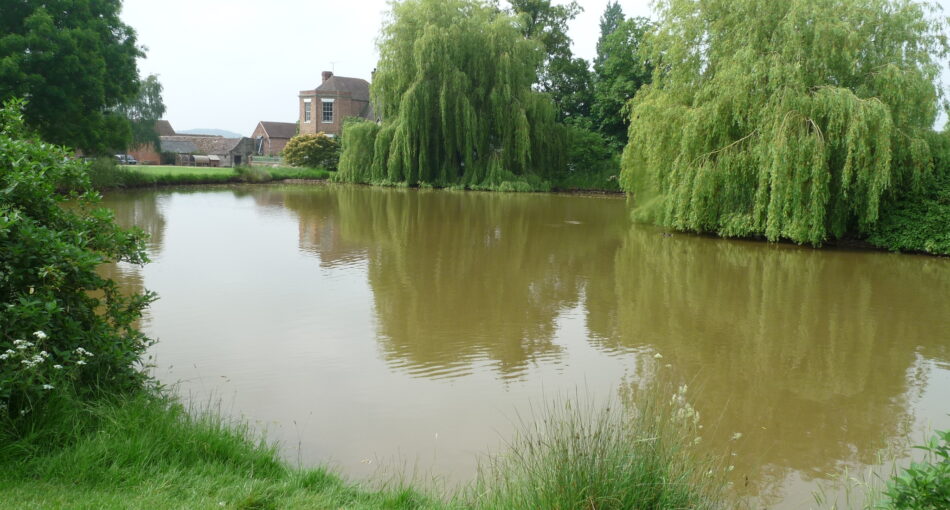 Stone End Farm Fishery in Gloucestershire