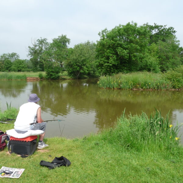 Stone End Farm Fishery in Gloucestershire