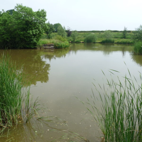 Stone End Farm Fishery in Gloucestershire