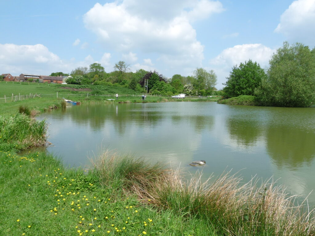 Temple Farm Fishery