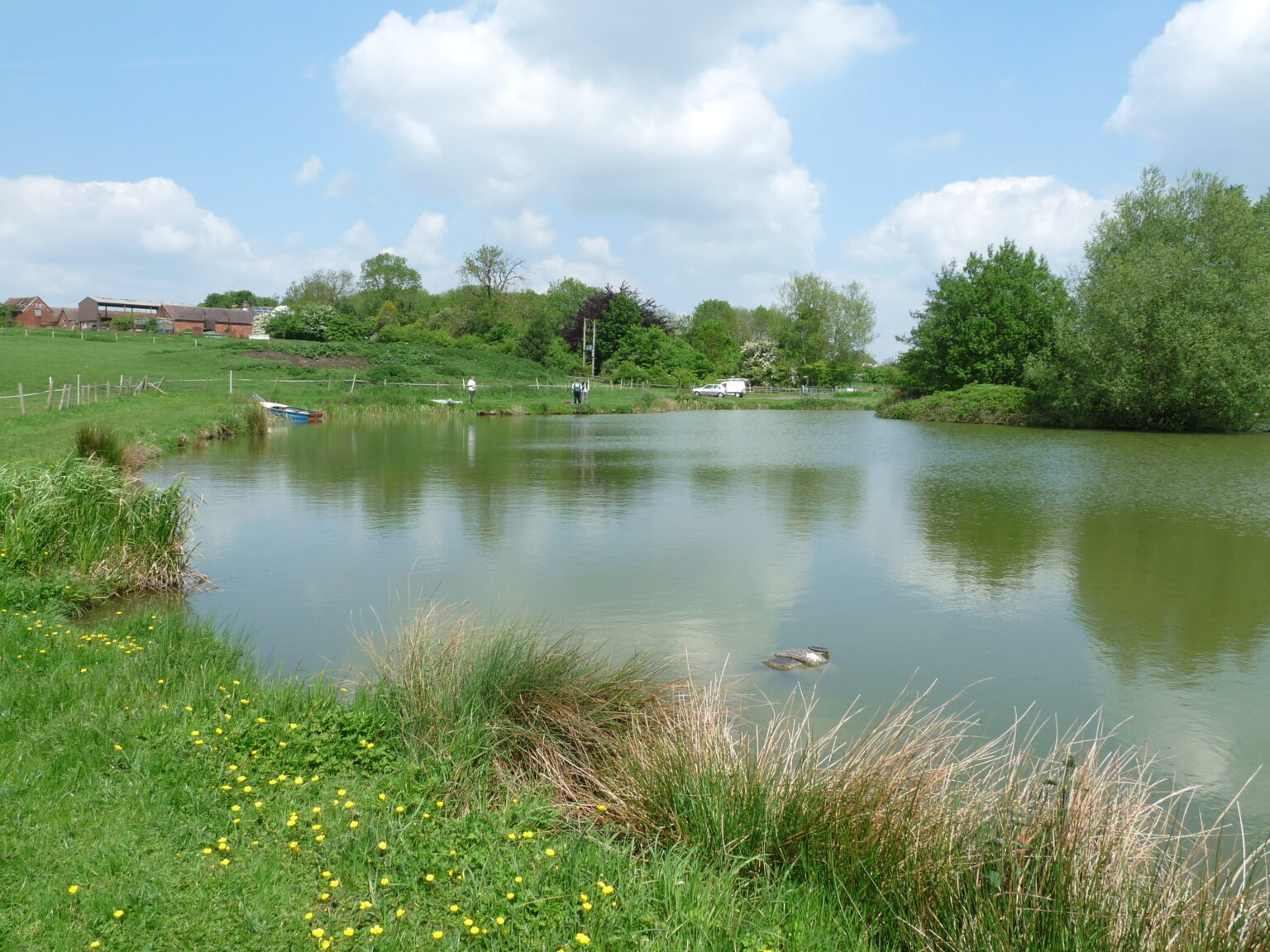 Temple Farm Fishery Fisheries.co.uk