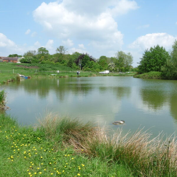 Dave's pool at Temple Farm Fishery, Wolvey, Leicestershire