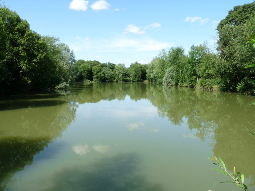 Willow Farm Fishery