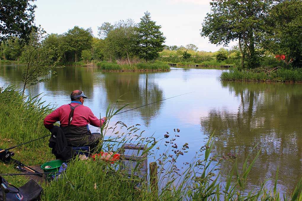 Avalon Fisheries