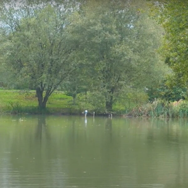 Bonds Lake at Bury Hill Fisheries in Dorking, Surrey