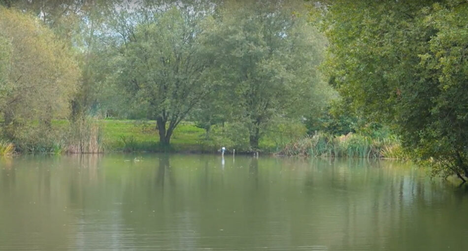 Bonds Lake at Bury Hill Fisheries in Dorking, Surrey