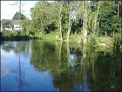 Bridhe Pool at Woods Farm Fishery near Solihull