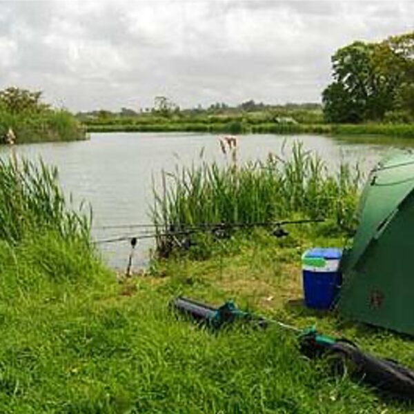 Coking Farm Fishery in Dorset