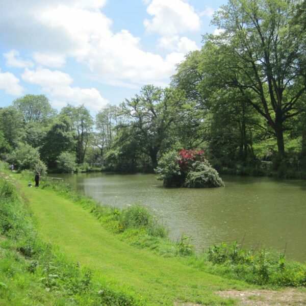 Coombe Water Fishery in Devon