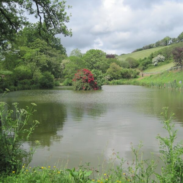 Coombe Water Fishery in Devon