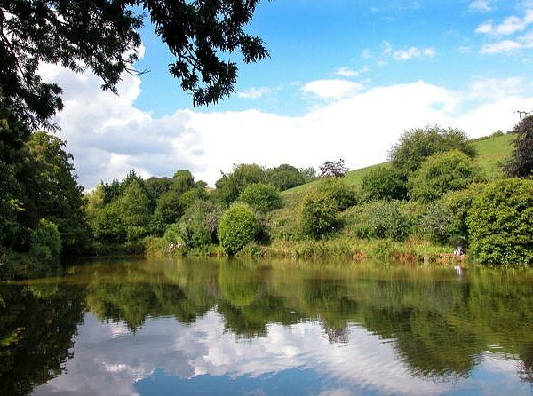 Coombe Water Fishery in Devon