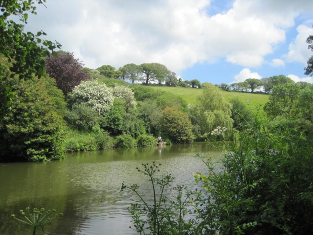 Coombe Water Fishery