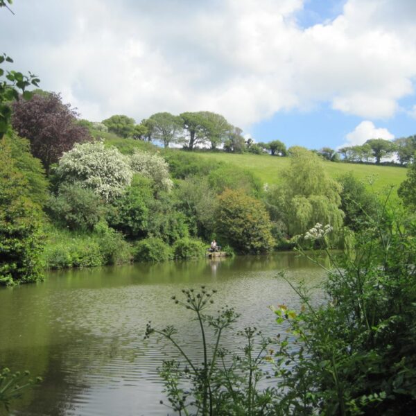 Coombe Water Fishery in Devon