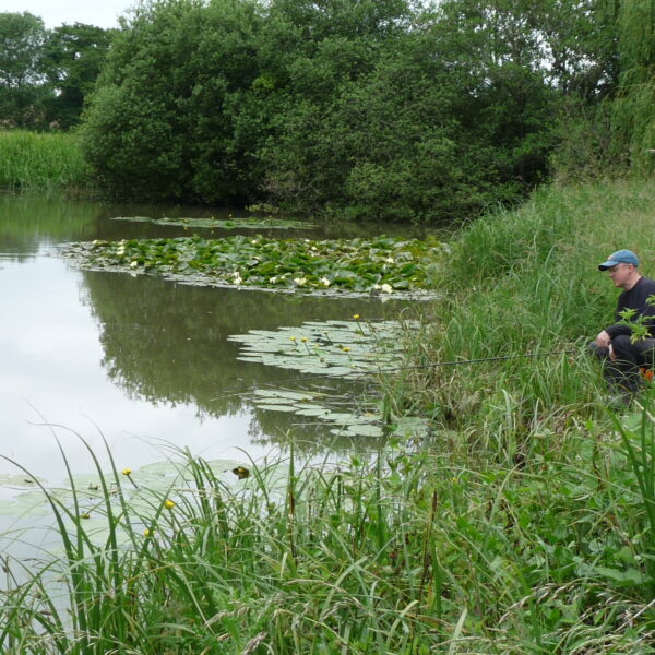 Dad's pool at Temple Farm Fishery, Wolvey, Leicestershire