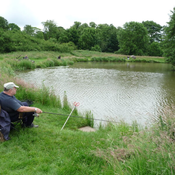 Dave's pool at Temple Farm Fishery, Wolvey, Leicestershire