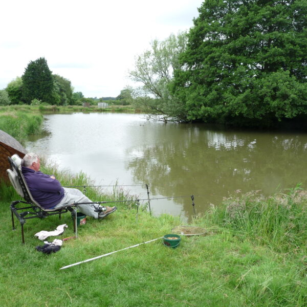 Dave's pool at Temple Farm Fishery, Wolvey, Leicestershire