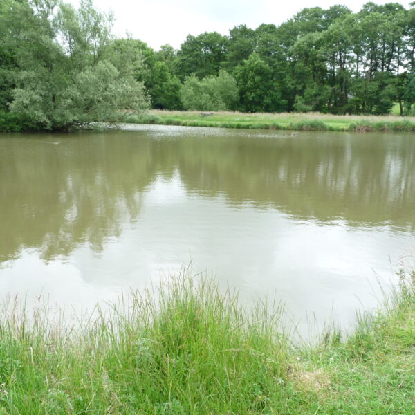 Dave's pool at Temple Farm Fishery, Wolvey, Leicestershire