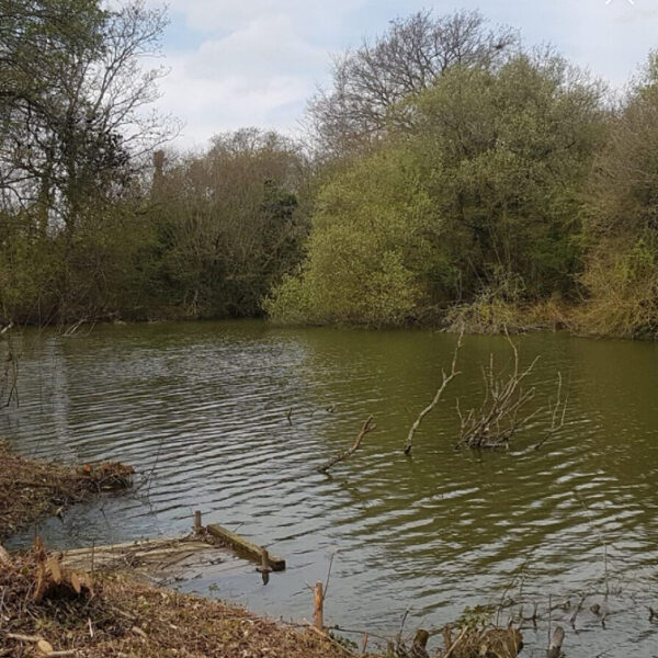 Eden Vale Fishery at Westbury in Wiltshire