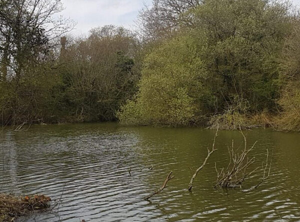 Eden Vale Fishery at Westbury in Wiltshire