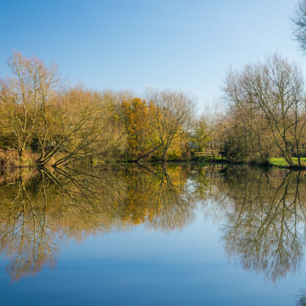 Fairwood Lakes Holiday Park in Wiltshire