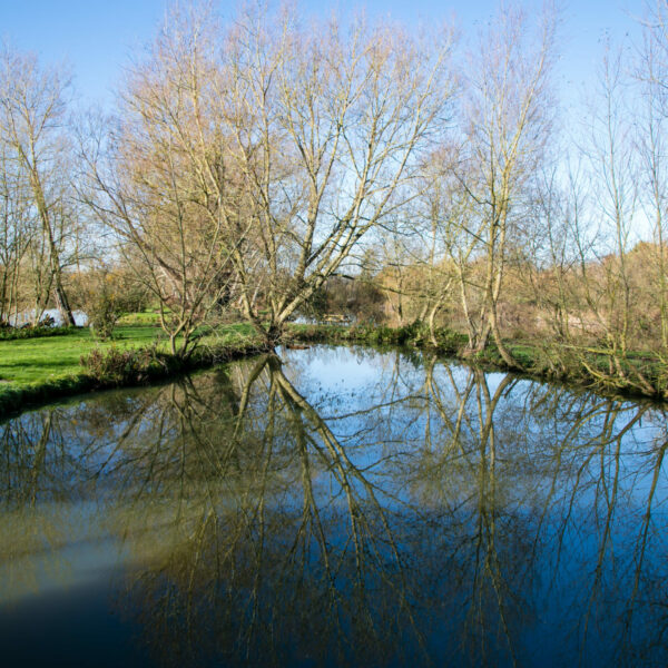 Fairwood Lakes Holiday Park in Wiltshire