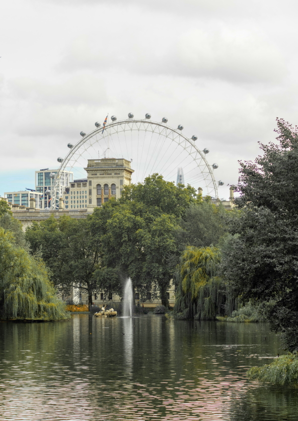 Fishing in London