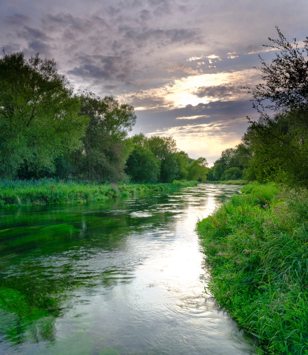 Fishing in Norfolk