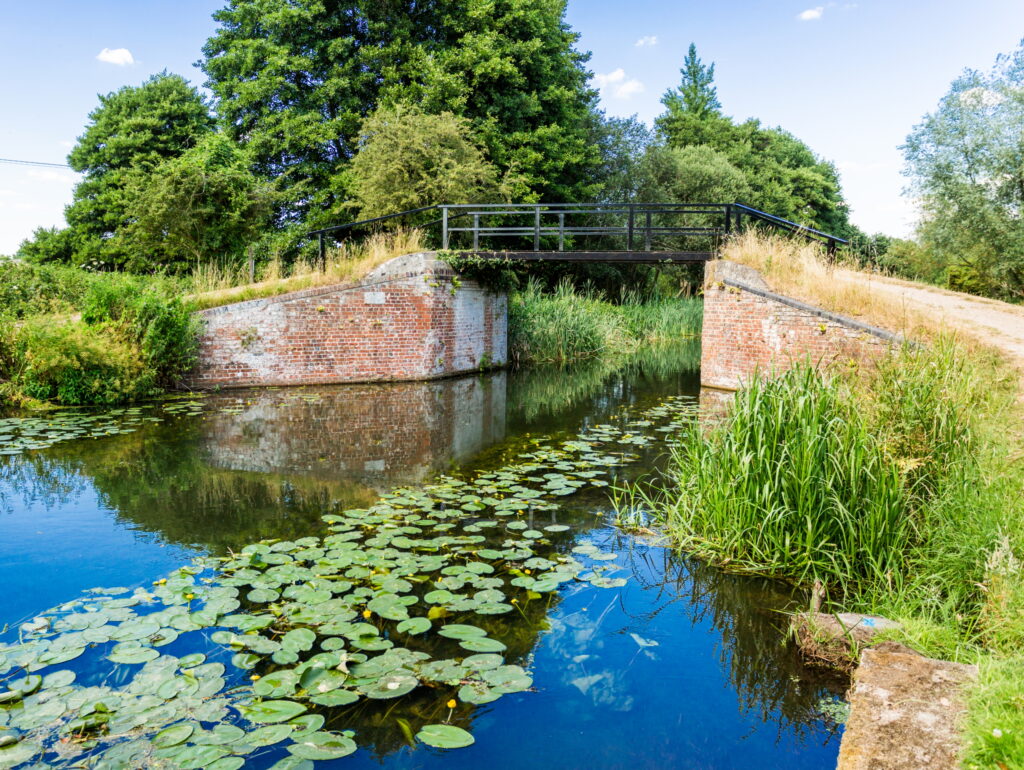 Fishing in Surrey