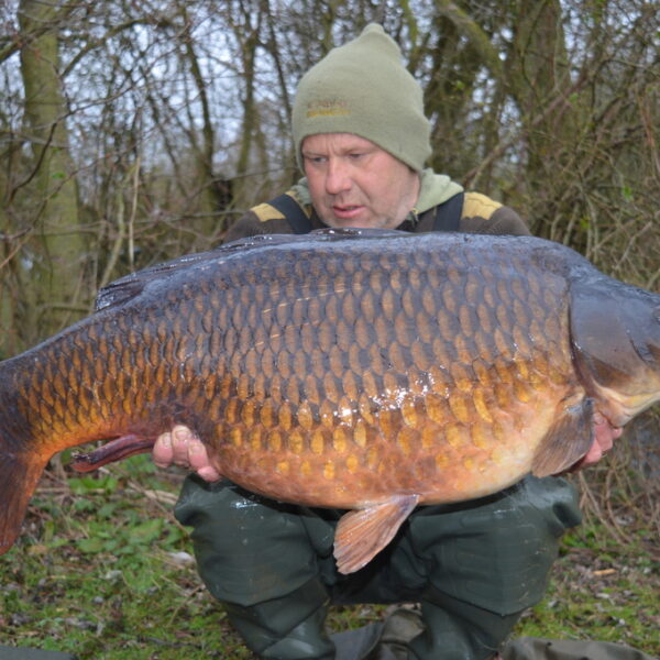 Bluebell Lakes