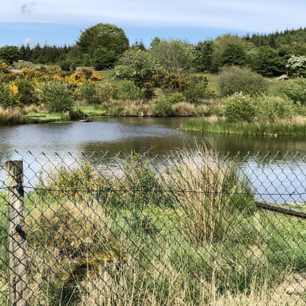 Greenhill Fishery at Dalbeattie