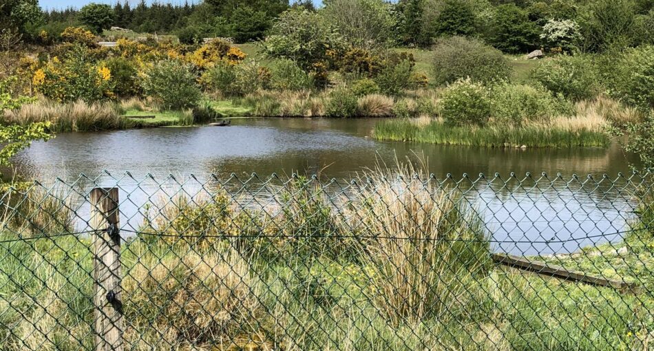 Greenhill Fishery at Dalbeattie