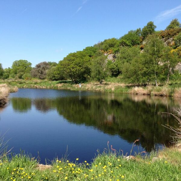 Greenhill Fishery at Dalbeattie