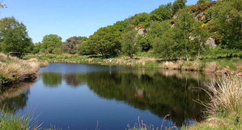 Greenhill Fishery at Dalbeattie