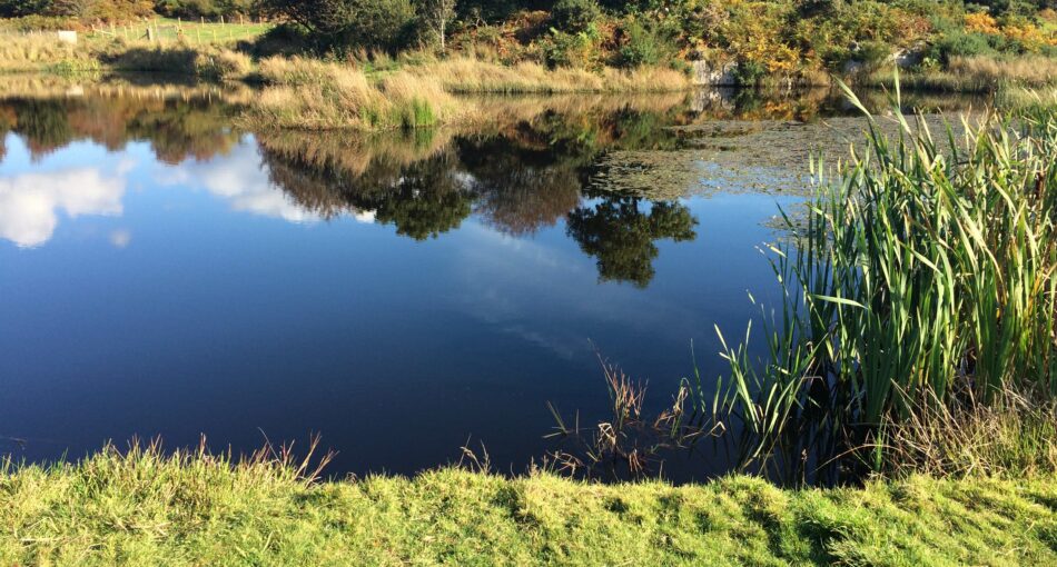 Greenhill Fishery at Dalbeattie