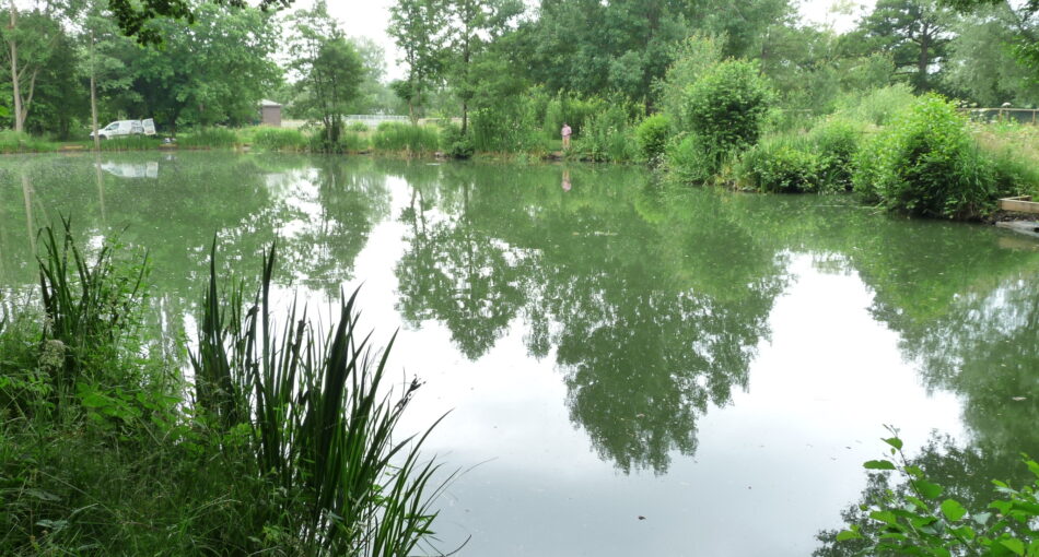 Pool Four at Hamstall fishery in Staffordshire