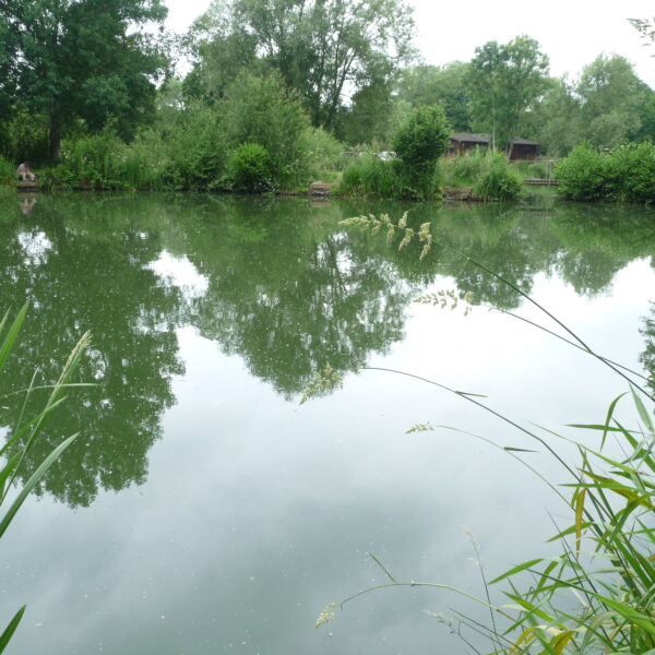 Pool Four at Hamstall fishery in Staffordshire