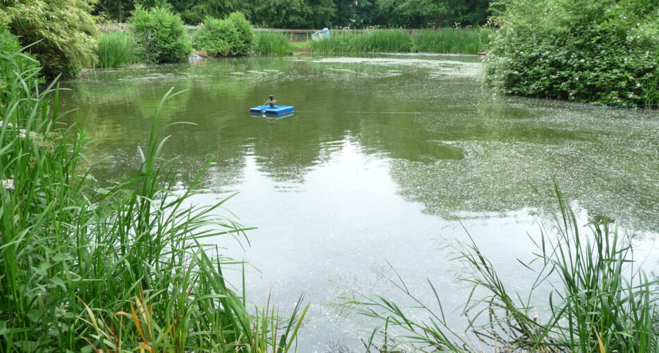 Pool One at Hamstall fishery in Staffordshire