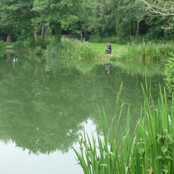 Pool Two at Hamstall fishery in Staffordshire