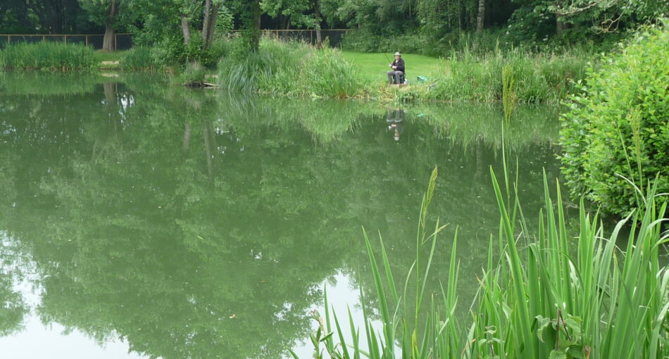 Pool Two at Hamstall fishery in Staffordshire