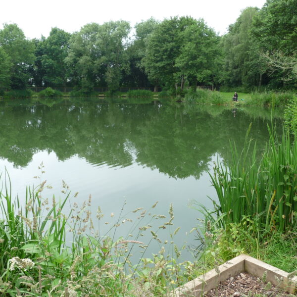 Pool Two at Hamstall fishery in Staffordshire